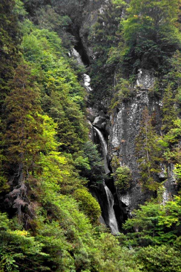 Ayder Yaylası fotoğrafları - Ayder Plateau photos