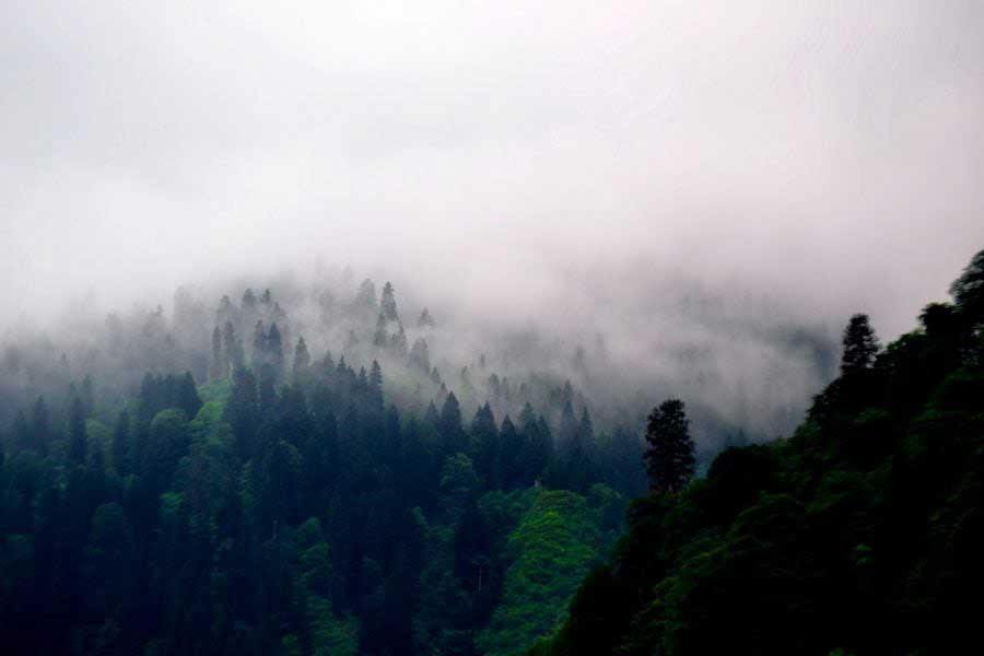 Ayder yaylası sis manzarası, Ayder Yaylası fotoğrafları - Ayder Plateau photos