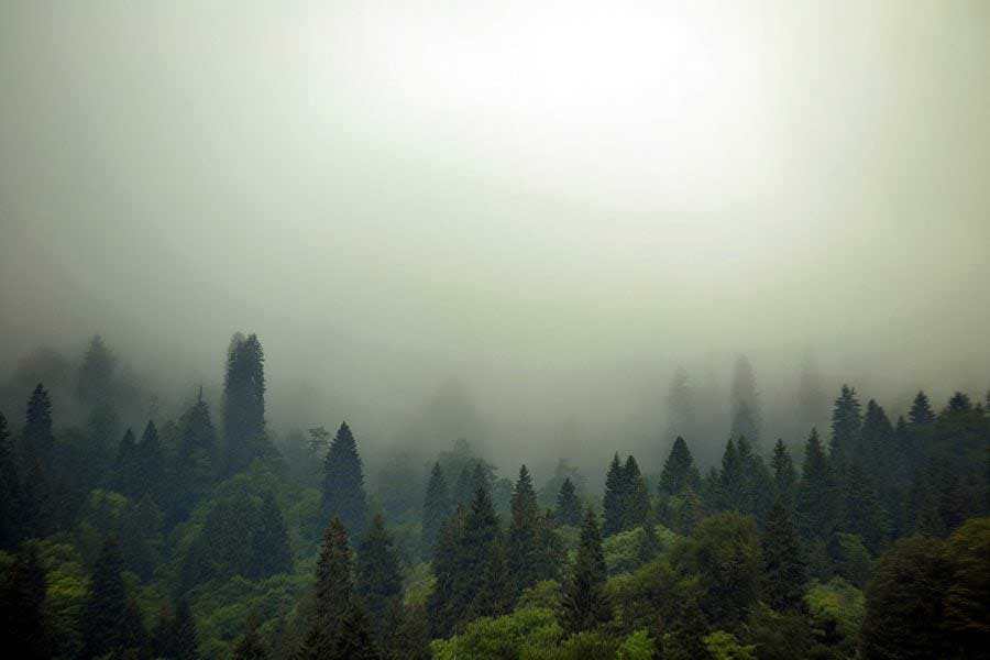 Ayder yaylası sisli bir sabah, Ayder Yaylası fotoğrafları - Ayder Plateau photos