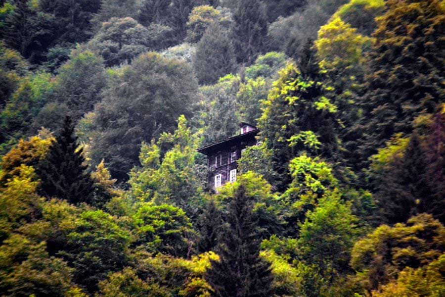 Ayder yaylası yolu ahşap evler Rize Çamlıhemşin, Ayder Yaylası fotoğrafları - timber houses embraced by green, Ayder Plateau photos