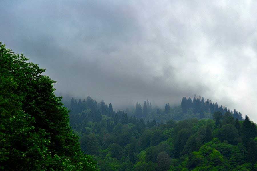 Ayder yaylasından sis manzarası, Ayder Yaylası fotoğrafları - Ayder Plateau photos