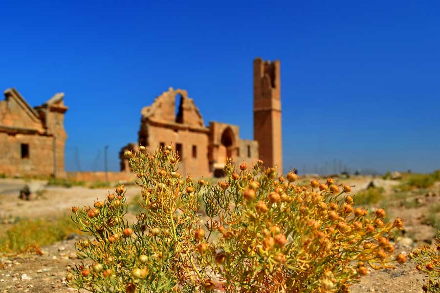 Güneydoğu Şanlıurfa Harran fotoğrafları - Southeastern Anatolia Region Harran plains photos