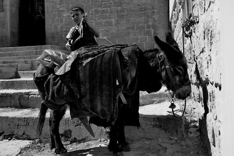 Mardin'de çöp toplama - garbage boy and his donkey at Mardin, Southeastern Anatolia Mardin photos