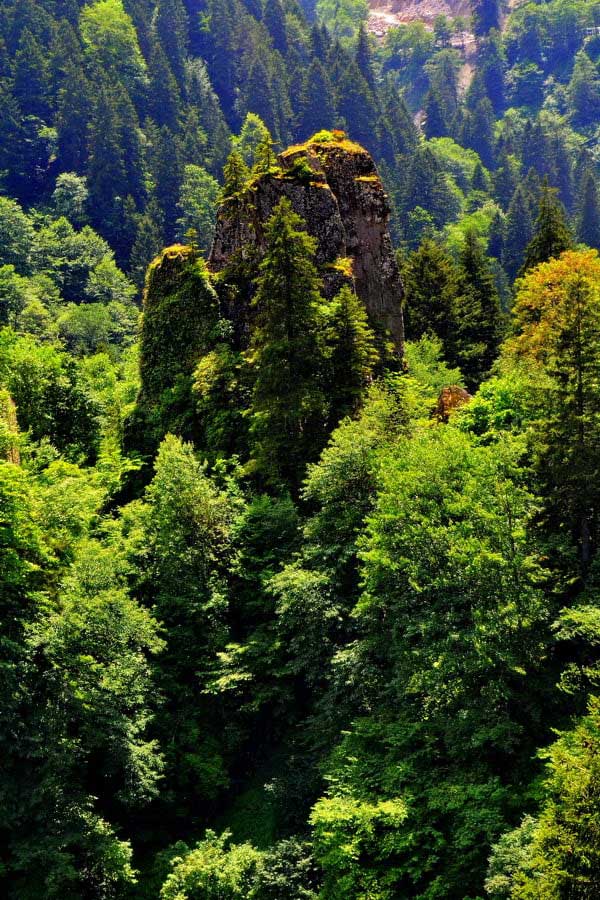Sümela manastırı manzarası, Sümela manastırı fotoğrafları - green, Sumela monastery photos