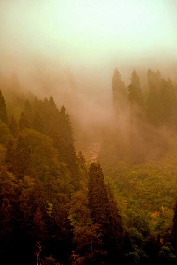 Uzungöl etrafındaki dağlarda sis, Uzungöl fotoğrafları - evening fog on the mountains, Uzungöl photos