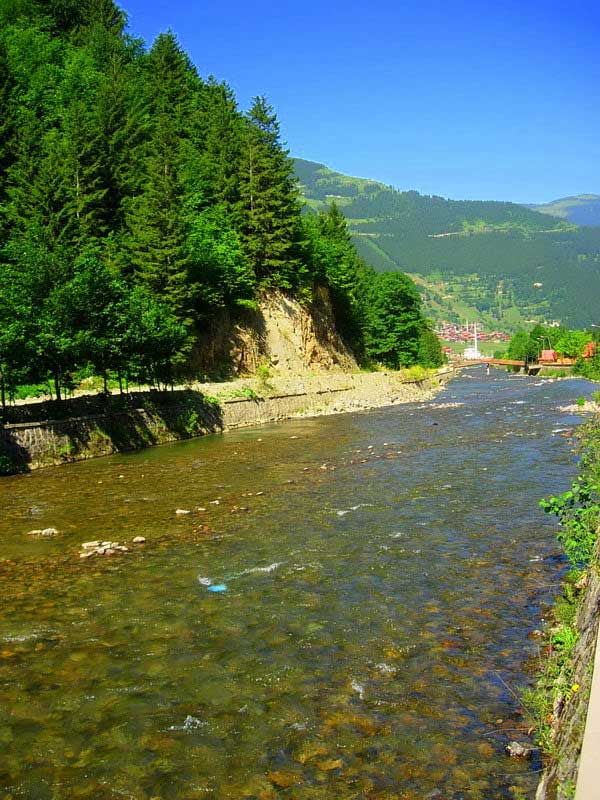 Uzungölü besleyen Demirkapı deresi, Uzungöl fotoğrafları - clear streams the rivers, Uzungöl photos