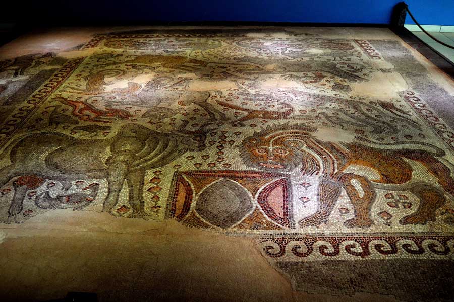 Zeugma Mozaik Müzesi fotoğrafları Cıncıklı Mozaikleri - Cıncıklı Mosaics, Zeugma Mosaic Museum Southeastern Anatolia region Turkey