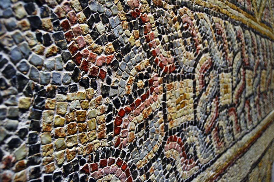 Zeugma Mozaik Müzesi fotoğrafları mozaik çerçevesi - Mosaic border at Zeugma Mosaic Museum Southeastern Anatolia region Turkey
