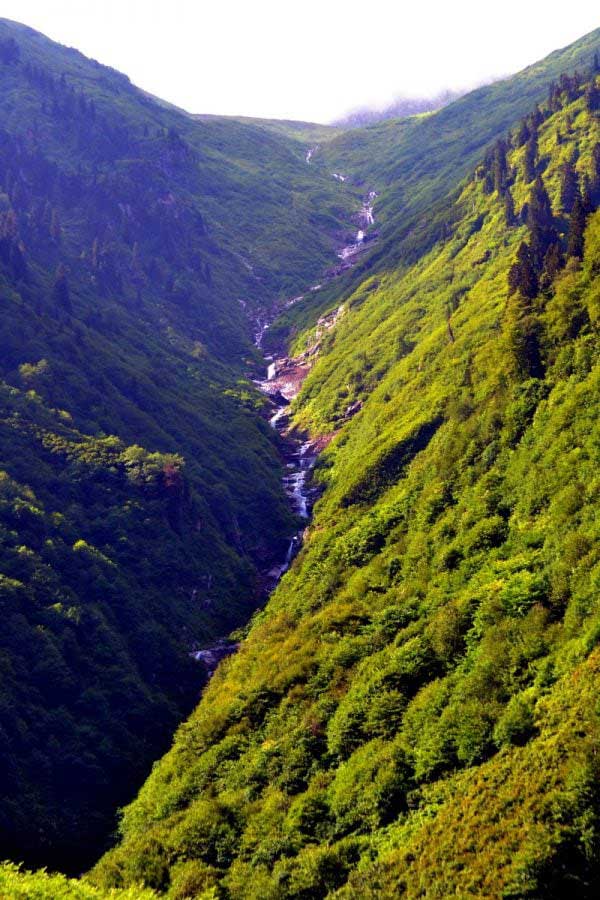 Ayder yaylası manzarasında Kavran deresi, Ayder Yaylası fotoğrafları - water of life falling through the mountains, Ayder Plateau photos