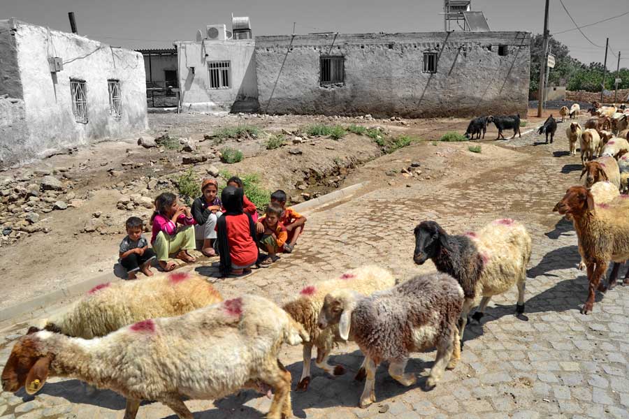 Şanlıurfa Harran ovasında çocuk olmak, Harran fotoğrafları - Being achild in Harran plains, Harran photos Southeastern Anatolia Region
