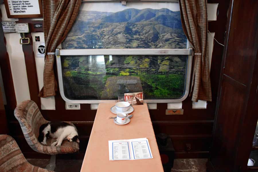 İstanbul Demiryolu Müzesi fotoğrafları, Barış Manço Kurtalan Eksperi vagonu canlandırması - Barış Manço - Kurtalan Express wagon animation, Istanbul Railway Museum photos