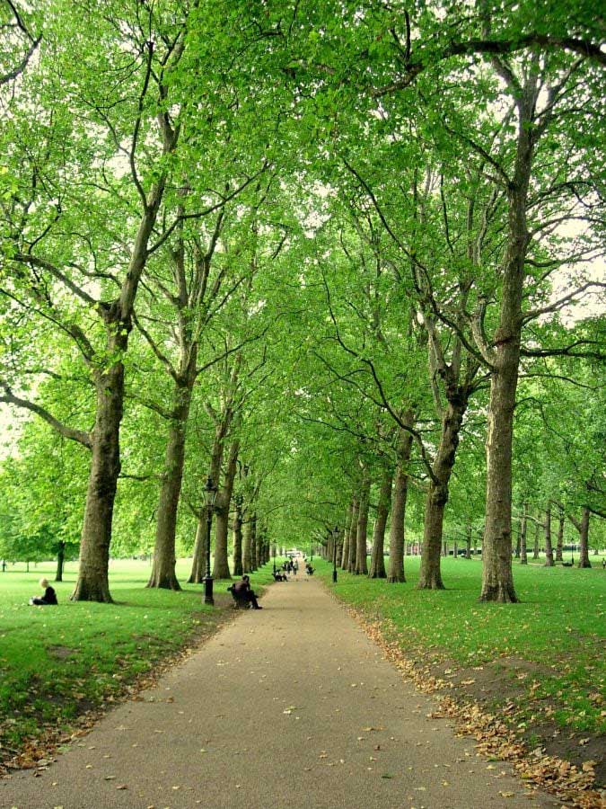 Londra Hyde park gezilecek yerler - stroll around in Hyde park London photos