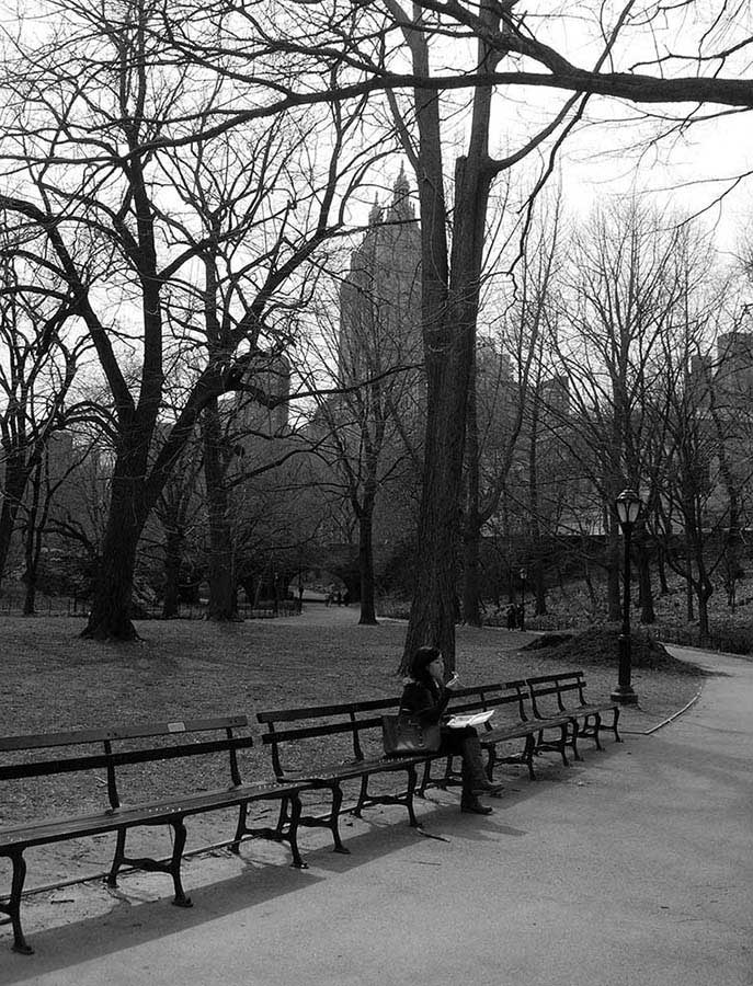 New York Central Park fotoğrafları