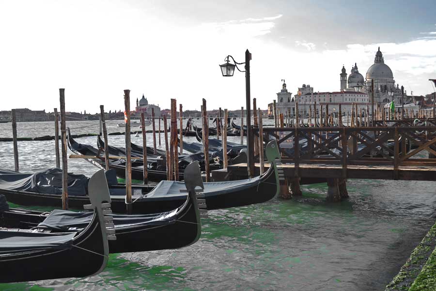 Venedik fotoğrafları San Marco meydanının önünde gondollar - Venice Gondol docks in front of San Marco Piazza