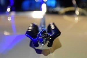 Araba Müzesi fotoğrafları (Torino Otomobil Müzesi) 1958 model Cadillac amblemi - Turin Automobile Museum 1958 emblem (Museo Nazionale dell'Automobile)