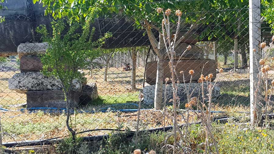 Uşak Clanudda antik kentine ait antik taşlar - Ancient stones of the ancient city of Clanudda