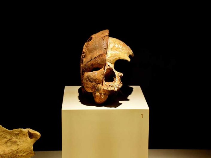 Anadolu Medeniyetleri Müzesi, Kadıpınarı mağarası, Üst Paleolitik Dönem kafatası - Kadıpınarı Cave, skull of Upper Paleolithic Period, Anatolian Civilizations Museum photos