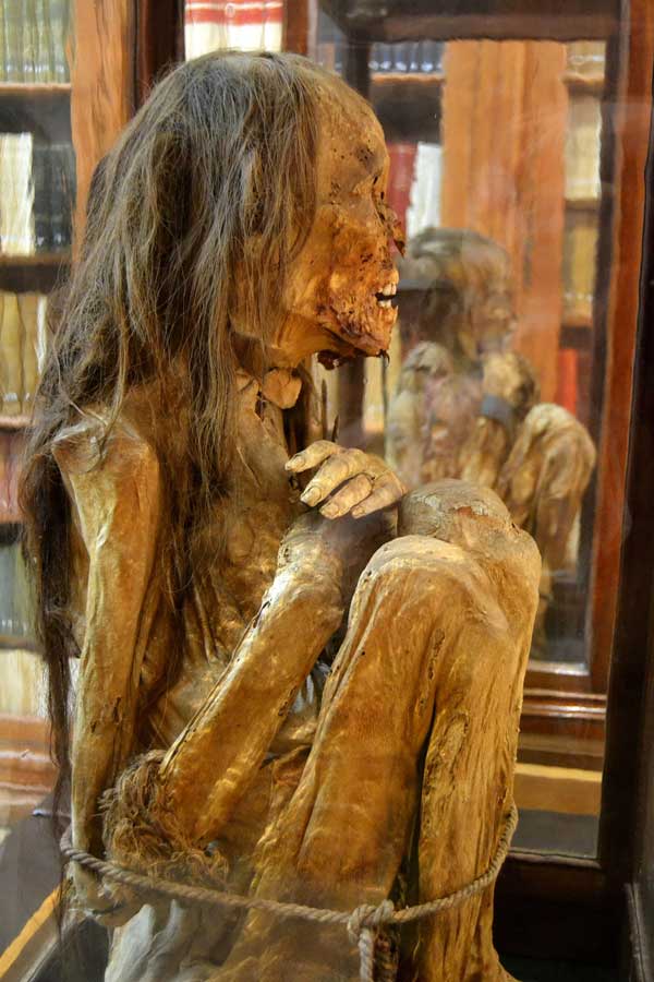 Carmo Manastırı Kilisesi Carmo Arkeoloji Müzesi mumya - Lisbon Carmo Convent Carmo Archaeological Museum mummy of a young man