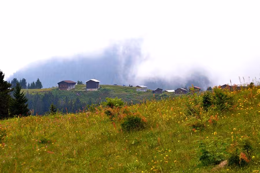 Sisli Pokut yaylası Pokut yaylası evleri ve Pokut yaylası fotoğrafları - Pokut plateau photos, Mansions