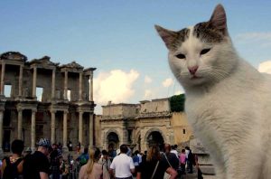 Ankara Kaş güzergahı rehber lazım mı abla bir selfie çekileydik beraber - Ankara Kas route photos guides and guardians of Ephesus