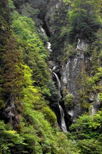Ayder Yaylası fotoğrafları - Ayder Plateau photos