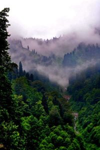 Ayder yaylası Kavran deresi manzarası fotoğrafları - Ayder Plateau photos