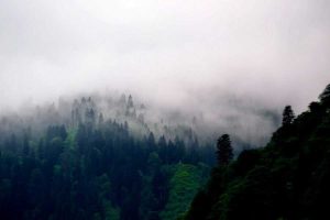 Ayder yaylası sis manzarası - Ayder Plateau photos