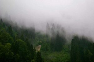 Ayder yaylası sis manzarası - Ayder Plateau photos