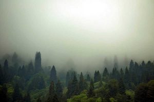 Ayder yaylası sisli bir sabah - Ayder Plateau photos