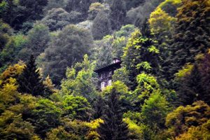 Ayder yaylası yolu ahşap evler Rize Çamlıhemşin, Ayder Yaylası fotoğrafları - timber houses embraced by green, Ayder Plateau photos