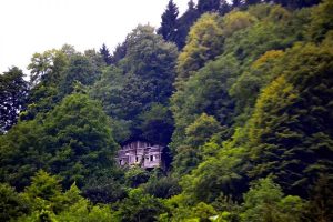 Ayder yaylası yolu ahşap evler Rize Çamlıhemşin, Ayder Yaylası fotoğrafları - timber houses embraced by green, Ayder Plateau photos