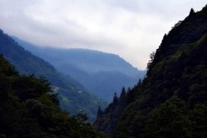 Ayder yaylası yolu manzarası, Ayder Yaylası fotoğrafları - Ayder Plateau photos