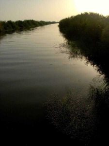 Büyük Menderes nehri deltası, Fethiye Karina güzergahı fotoğrafları - maeander river, Fethiye Karina route photos