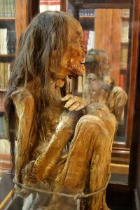 Carmo Manastırı Kilisesi Carmo Arkeoloji Müzesi mumya - Lisbon Carmo Convent Carmo Archaeological Museum mummy of a young man