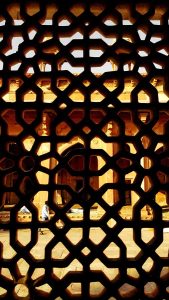 Fetihpur Sikri Salim Çeşti Türbesi Mermer Jali Panolar- Marble Jali Screens of Tomb of Salim Chishti in Jama Mosque, Fatehpur Sikri