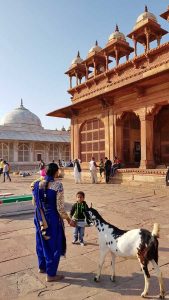 Fetihpur Sikri Ulu Cami Salim Çeşti Türbesi etrafında sosyal hayat - Social life around the Salim Chishti Tomb