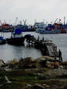 Gelibolu Dupnisa turu güzergahı Kıyıkoy'de balıkçılara rastgele dedik - Gallipoli Dupnisa route wished good luck to the fisherman in Kiyikoy