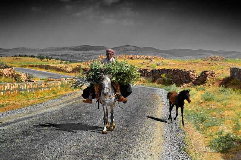 Güneydoğu Anadolu turu güzergahı Midyat kırsalında yol arkadaşları Güneydoğu Anadolu turu güzergahı Midyat kırsalında yol arkadaşları - Southeastern Anatolia route travelmates on the suburbs of Midyat