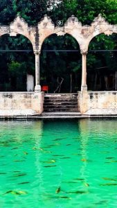 Güneydoğu Anadolu turu güzergahı Şanlıurfa Balıklı göl - Southeastern Anatolia route grief in Şanlıurfa fish lake