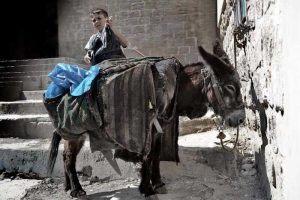 Güneydoğu Anadolu turu güzergahı fotoğrafları Mardin'de çöpçü ve eşeği - Southeastern Anatolia route duster and his donkey in Mardin