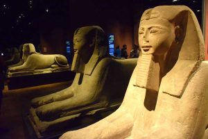 Torino Mısır Müzesi sfenksler - Turin ancient Egyptian Museum sphinxes