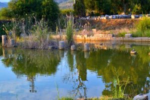 Letoon antik kenti fotoğrafları Muğla - the Mediterranean region Letoon ancient city photos
