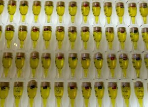 Lizbon gezilecek ilginç yerler Bira müzesi - Portugal Lisbon Beer museum