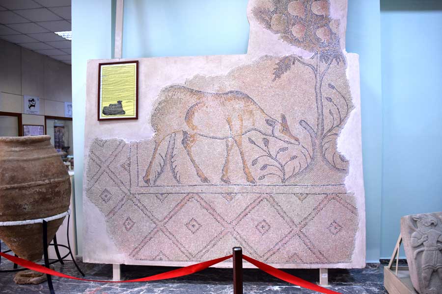 otlayan karaca taban mozaiği Malatya müzesi fotoğrafları otlayan karaca taban mozaiği - Mozaic of the grazing roe Roman age