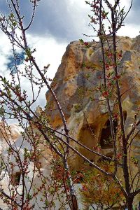 Nevşehir Kapadokya'da bahar, Göreme, Ürgüp - Central Anatolia Spring in Cappadocia, Cappadocia photos