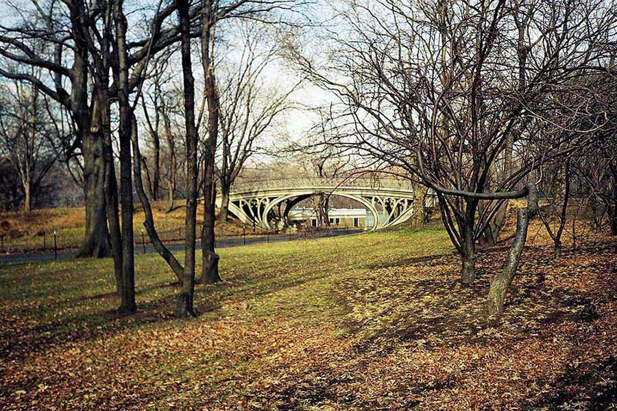New York Halk Kütüphanesi fotoğrafları bilgiyi koruyan aslan New York Central Park Reservoir Köprüsü - New York City Central Park Reservoir Bridge