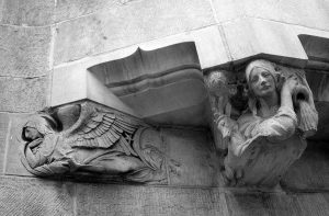 New York fotoğrafları Katedralin bekçileri - New York City photos guardians of the Cathedral