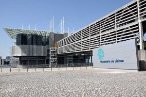 Portekiz gezilecek yerler Lizbon Okyanus Akvaryumu - Portugal route Lisbon Oceanarium (Oceanário de Lisboa)