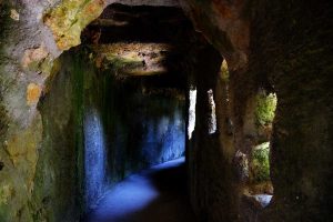 Sintra Quinta da Regaleira bahçesi fotoğrafları - Sintra Quinta da Regaleira Garden photos