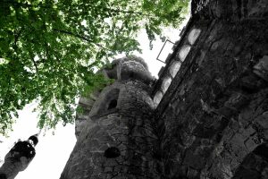 Sintra fotoğrafları Quinta da Regaleira bahçesi - Sintra Quinta da Regaleira Garden Portugal